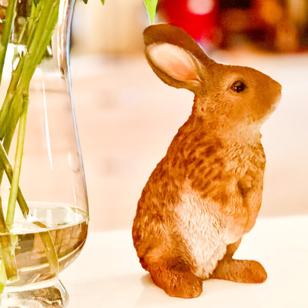 ABC Restoran - Galerija